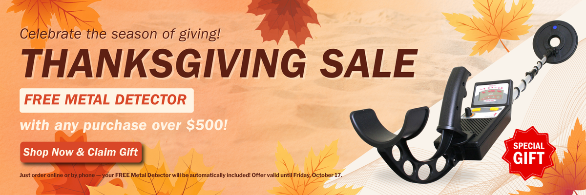 Thanksgiving sale banner with metal detector and fall leaves
